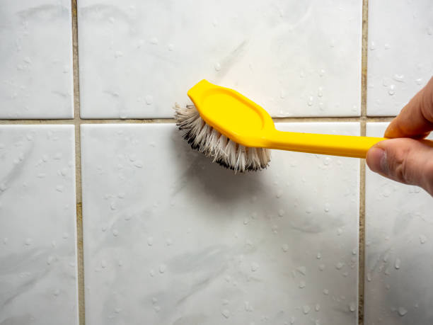 Best Same-Day Mold Removal  in Godley, TX