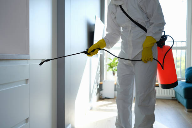 Mold Testing and Removal in Godley, TX